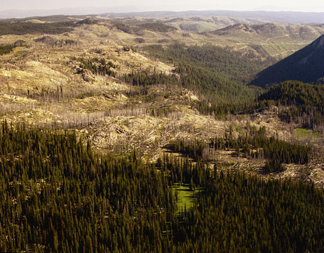 1960 Anthony fire area - 1969